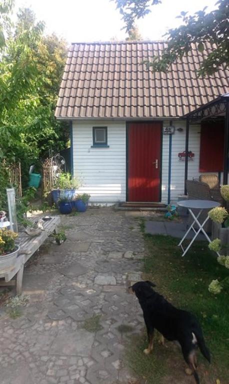 Das kleine Ferienhaus room 2